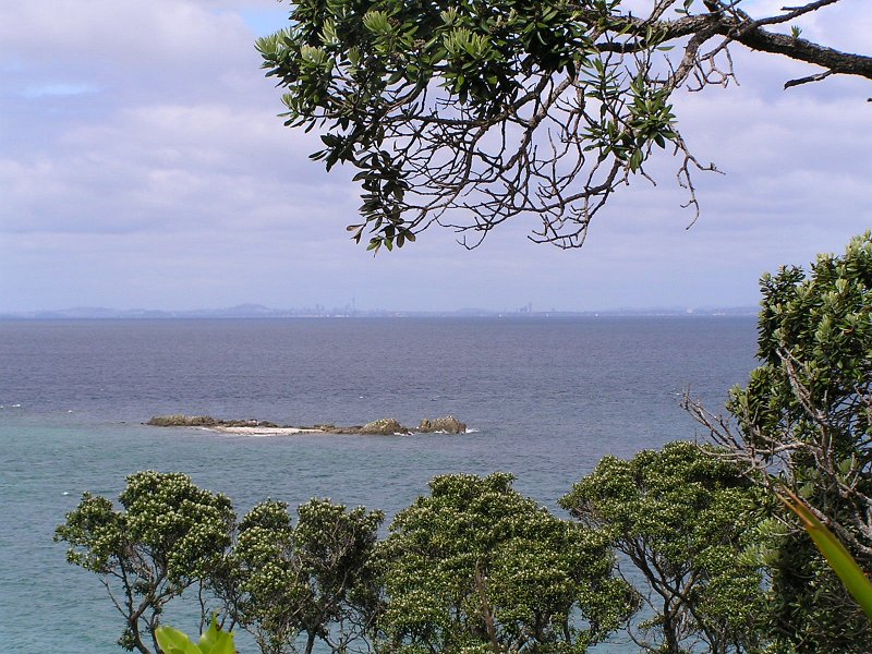 03 (22) Auckland from Tiritiri.JPG
